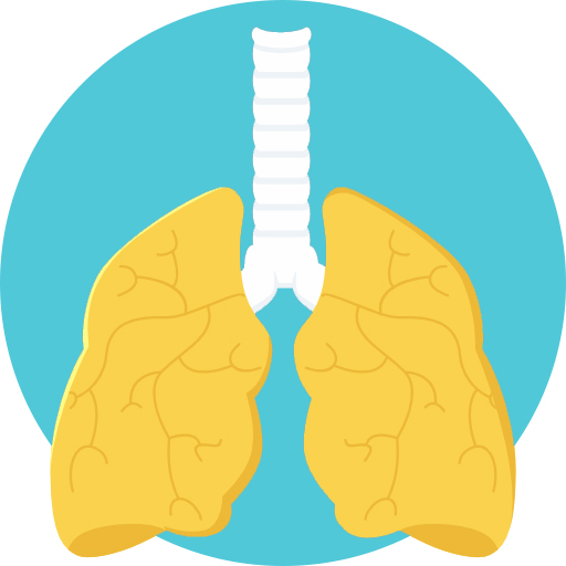 pulmonology-lungs-image